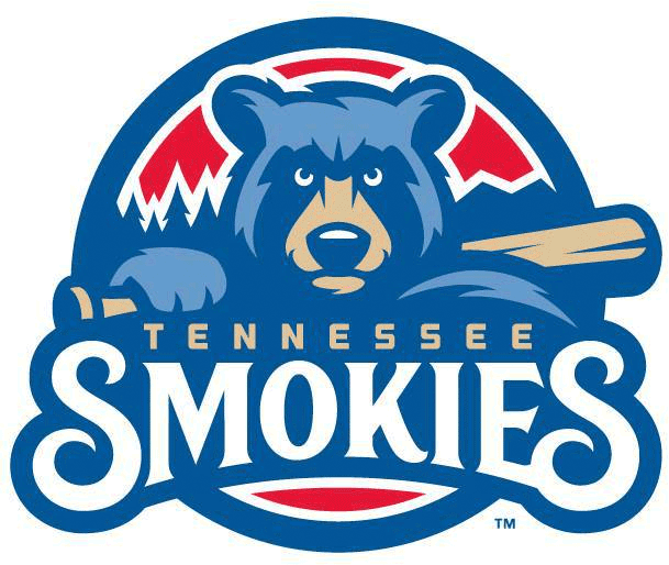 Tennessee Smokies 2015-Pres Primary Logo iron on transfers for clothing